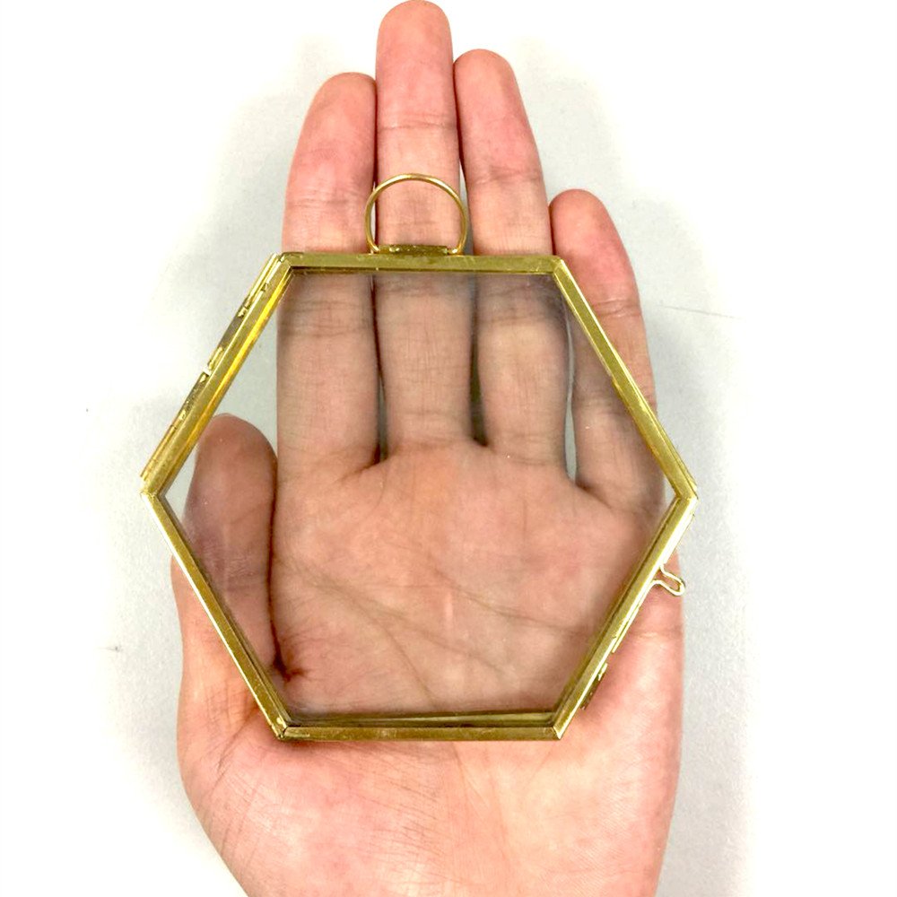 NCYP Mini Glass Floating Frame for Dried Flowers Plants, Photo - Side length 1.9 Inches - Wall Hanging Vertical Decor, Small Double Specimen Clip, Gold Hexagon (Glass Frame Only)