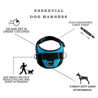 ShawnCo Essential Dog Harness, No-Pull Pet Vest with 3 Leash Clips, No Choke, Reflective, Adjustable and Padded, for Easy Walking and Training for Small, Medium and Large Dogs (Sunset Orange, M)