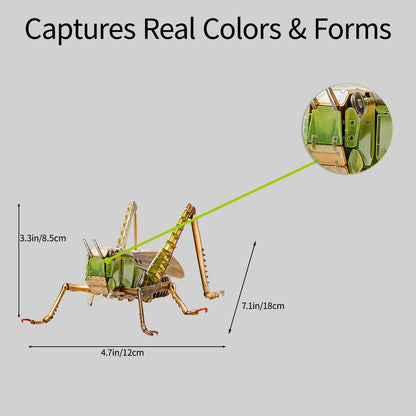 HELLOTOY 3D Acrylic Insects Puzzles DIY Bug Model Kit for Teenagers Educational Display Nature Decoration Figurine Sculpture (Grasshopper)