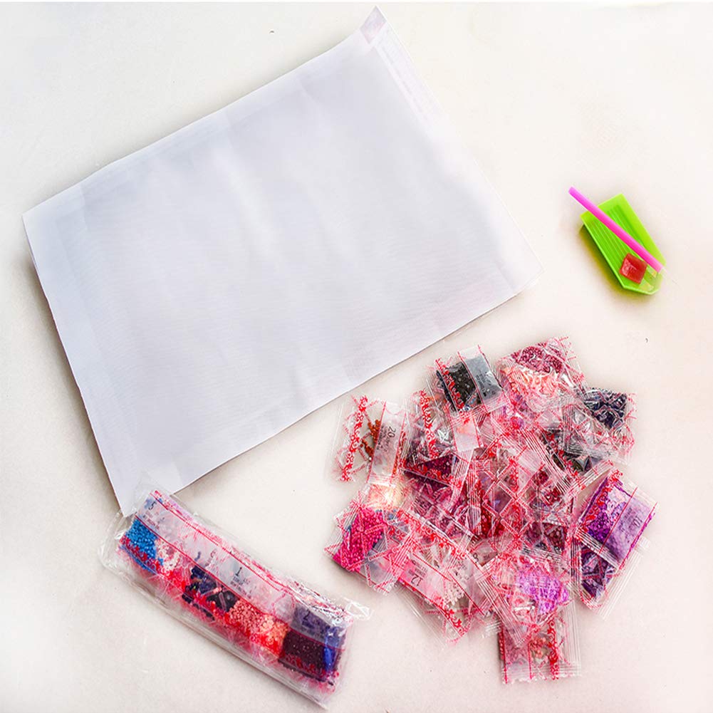 HUANNY DIY Up Diamond Painting Kits, 5D Premium Diamond Art, Embroidery Kit for Beginners Easy