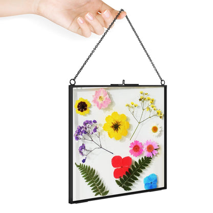 TLBTEK 2 PCS Black 8x8 inch Brass Hanging Photo Frame,Double Glass Frame for Pressed Flowers,Clear DIY Vintage Artwork Display Frame Wall Mounted Photos Frame