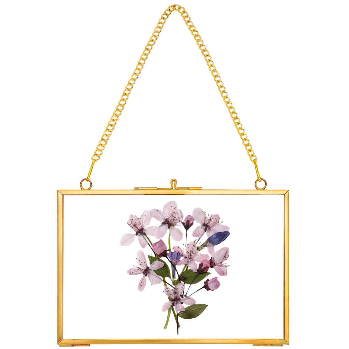 REDHUGO Hanging Pressed Flower Frame Handmade, Double Glass Picture Frame Floater frame Floating Frame for Pressed Flowers Home Wall Artwork, Rectangle Horizontal 4×6 inches, Gold (FRAME ONLY)