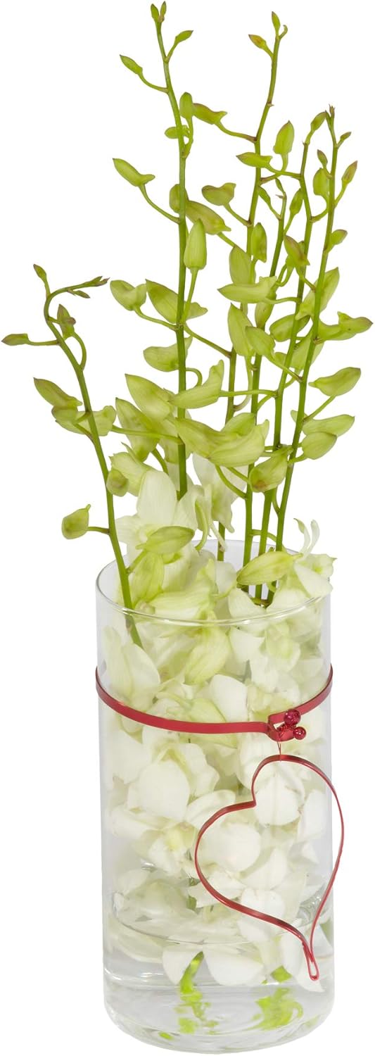 Floral Supply Online 9" Tall x 3.5" Wide Cylinder Glass Vase with Flower Guide Booklet for Weddings, Events, Home Decor