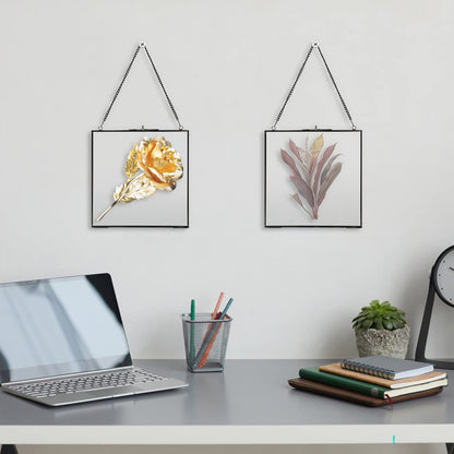 JUXYES 2 Pack Square Wall Hanging Brass Frames for Pressed Flowers, Double Glass Hanging Picture Artwork Display Frame, Black Floating Style Gallery Wall Frame for Picture, Poster, etc
