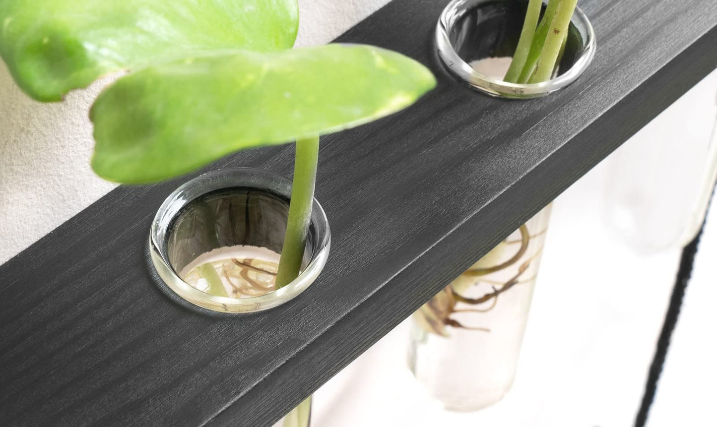 Mkono 3 Tiered Wall Hanging Plant Terrarium with Wooden Stand Mini Test Tube Flower Vase Glass Planter for Hydroponic Plant Cutting Home Garden Office Decor Gift