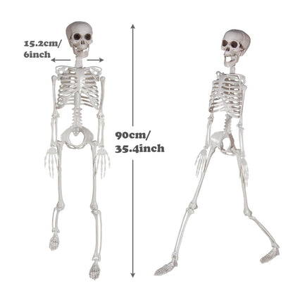 Kukooka 3ft Halloween Skeleton Decor Plastic Life Size Full Body Human Bones with Movable Joints for Halloween Decoration (1 Piece)