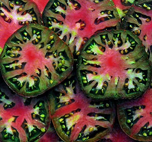 Sherwoods Seeds Packet Black Sea Man Heirloom Tomato Premium Seeds for Planting