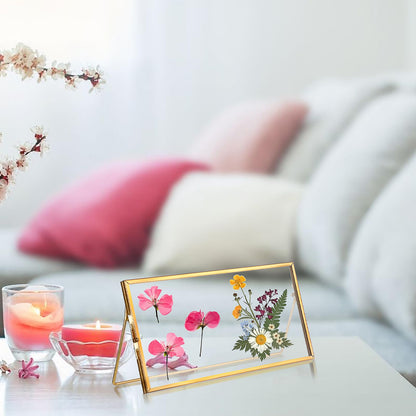 OGANAZI Double-Glass Dried Flower Frame, Brass Floating Frames for Pictures, Pressed Flowers, Leaves, Arts, Stamps, 4x 9 inches Decorative Tabletop Display Holder for Home Plant Specimen (FRAME ONLY)