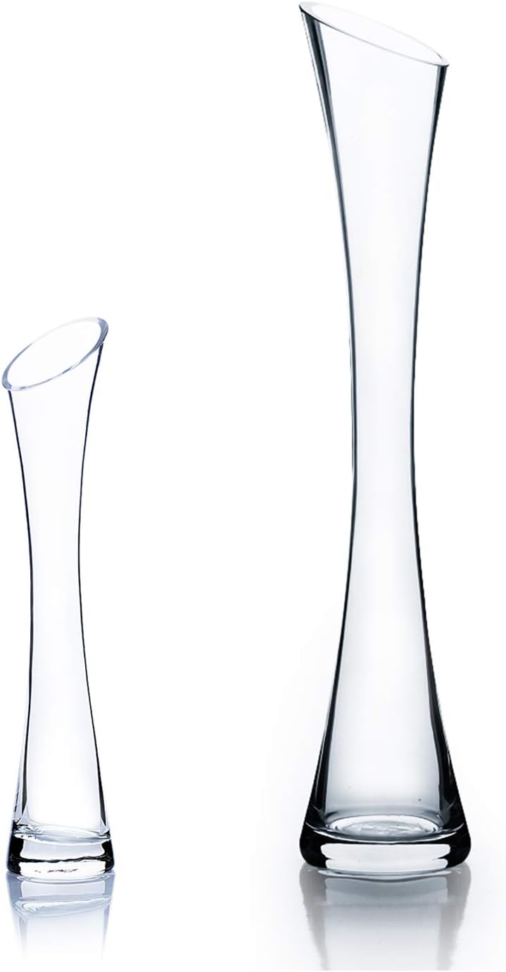 WGV Maria Bud Vase, 2" Width, 10" Height, Clear Slant Cut Opening Glass Floral Container for Decor