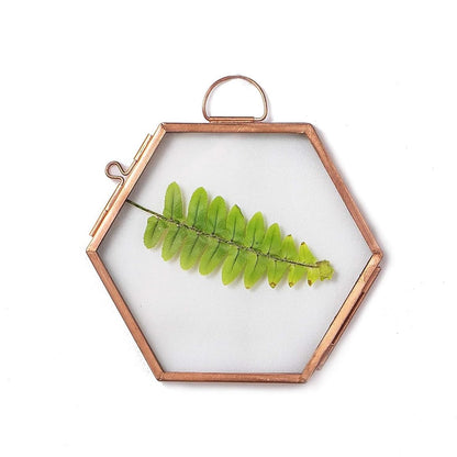 NCYP Hanging Small Rose Gold Hexagon Herbarium, Side Length 1.9 inches Handmade Copper Floating Frame for Pressed Dried Flowers Plants, Double Glass, Wall Decor, Glass Frame Only
