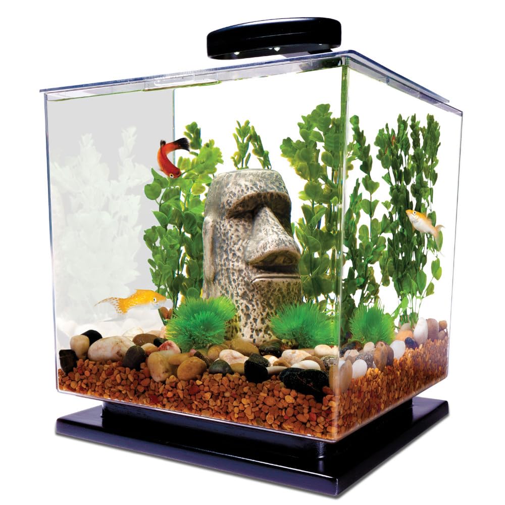 Tetra 3 Gallon Fish Tank, Aquarium Starter Kit with Pedestal Base, LED Light and Filter, For small tropical fish, guppies, goldfish, or betta