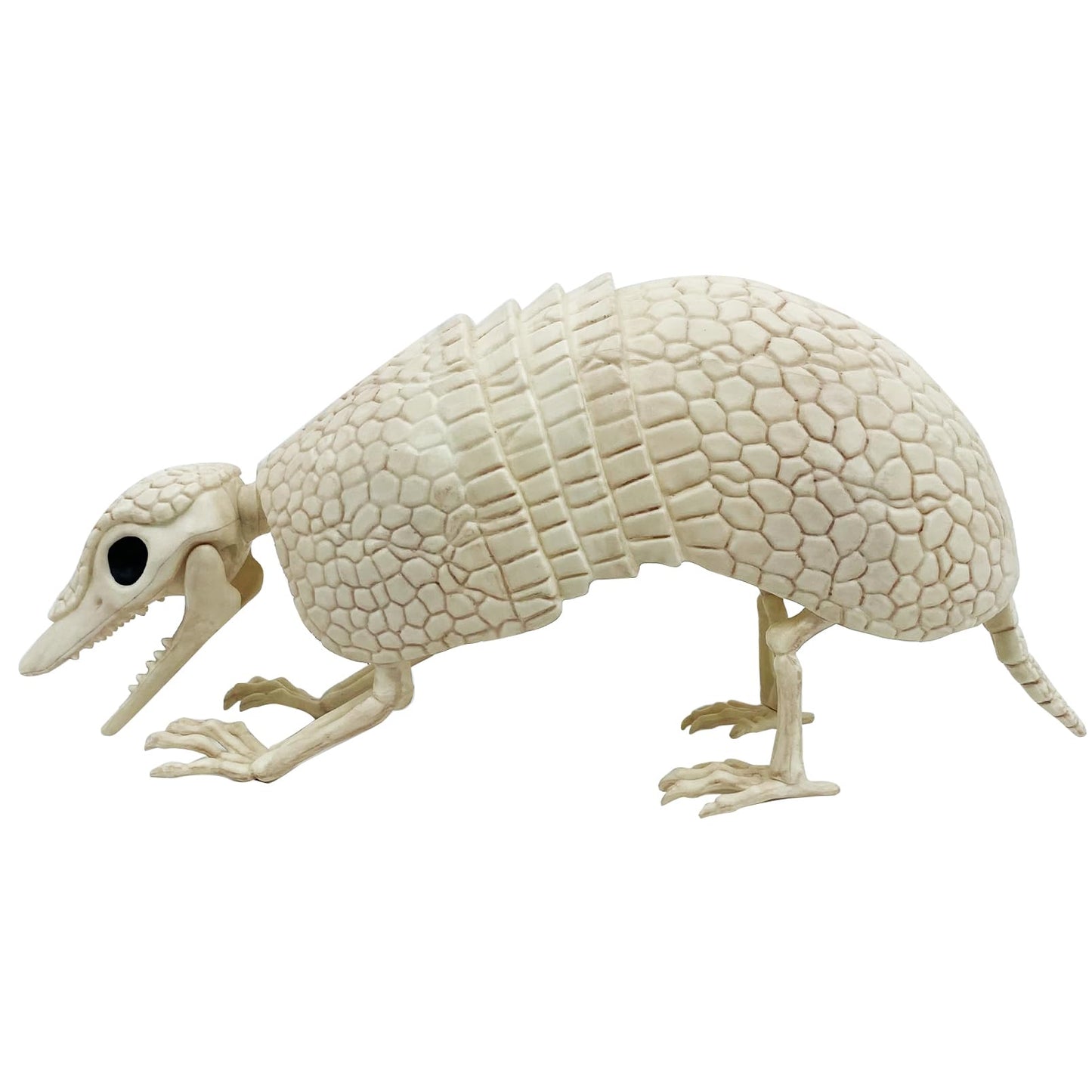 JUST FOR PARTY Armadillo Skeleton Halloween Decorations, 14"x4"x6.25", Rotatable Head and Openable Mouth, Resistant Plastic Armadillo for Fall Graveyard Haunted House Party Indoor and Outdoor Decor