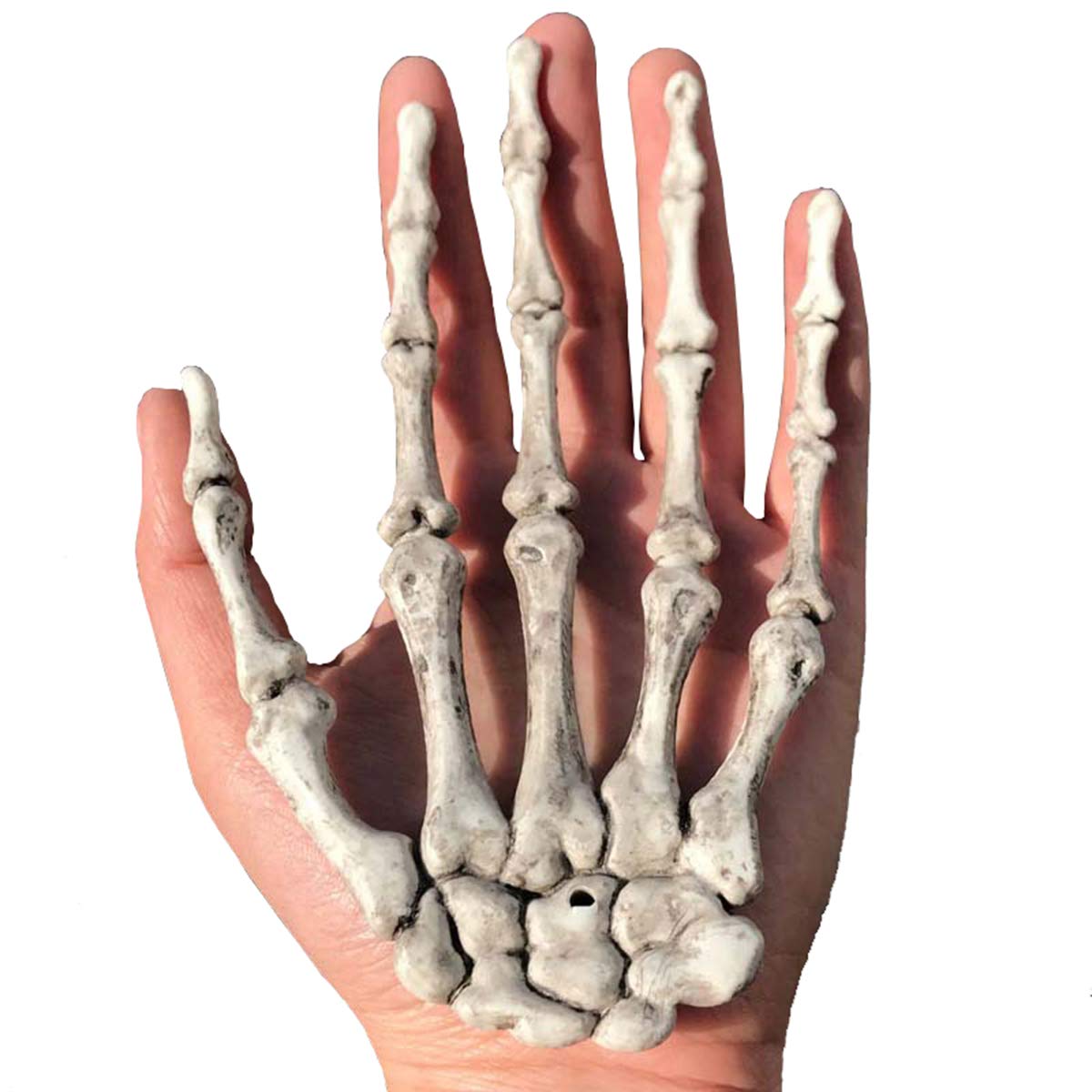 5 Pairs Halloween Skeleton Hands Realistic Plastic Fake Human Hands for Halloween Zombie Party Terror Scary Props