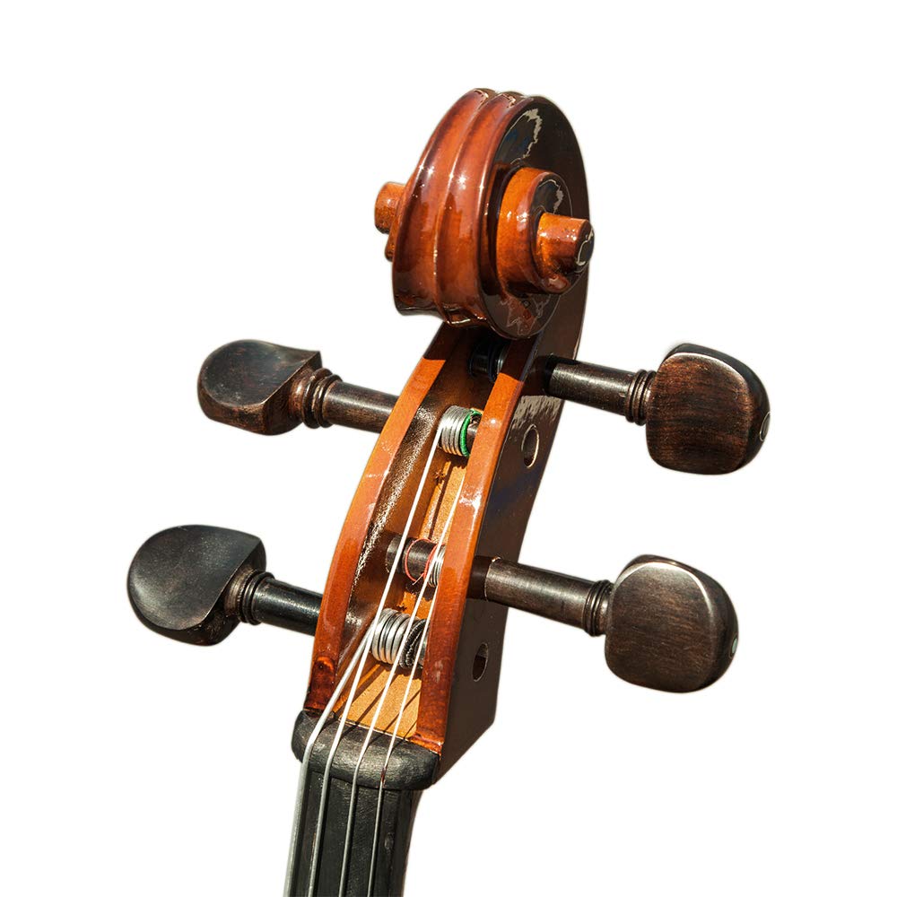 Paititi CE4009SE AVANT-GARDE Ebony Fitted Glossy Finish Solid Wood Cello with Soft Case, Brazilwood Bow, Rosin and Stopper (1/2)