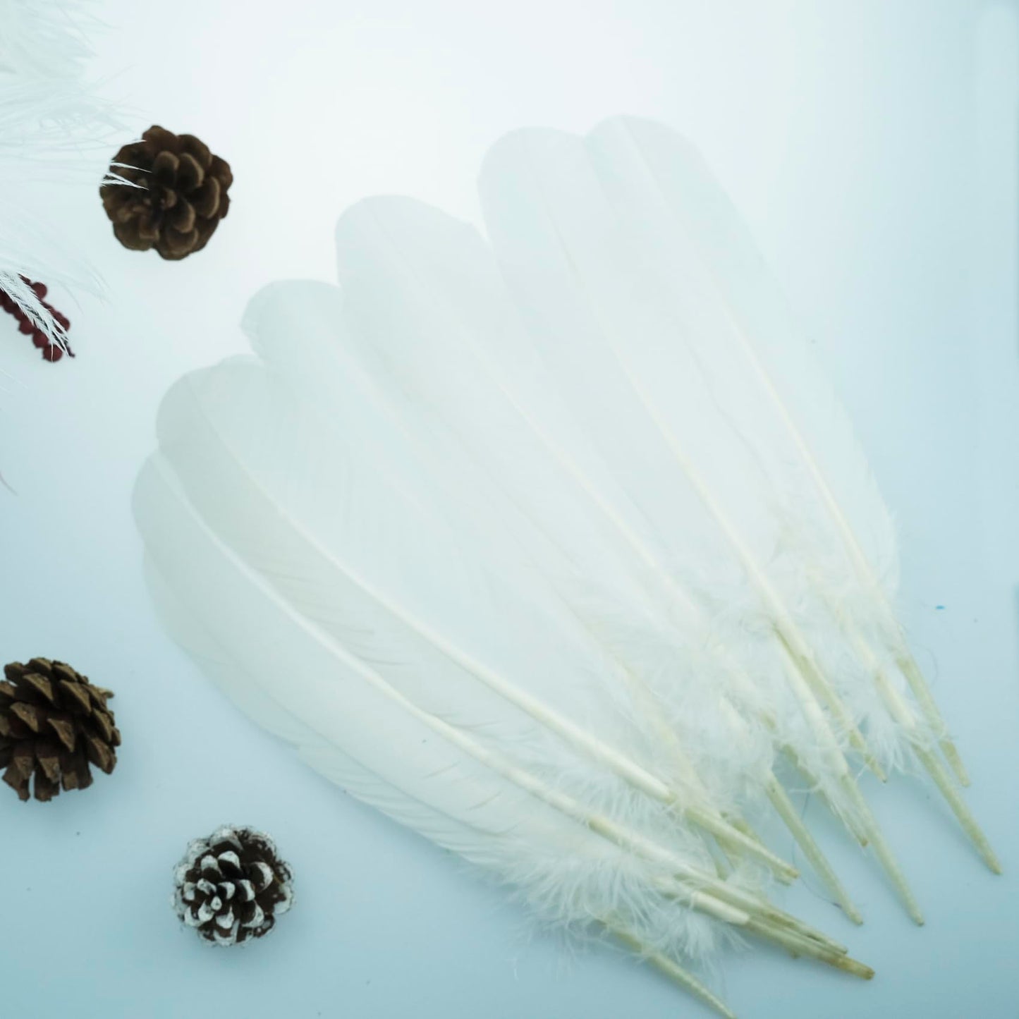 Feathers for Crafting 10-12 inches 24pcs Natural Black Big Turkey Feather Bulk for Craft DIY Crafts, Angel Wings, Dream Catcher and Wedding Party Decorations (White)