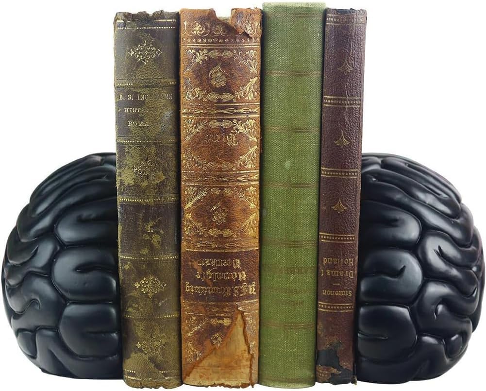6.5Inch Set Brain Bookends, Tall Brain Decorative Resin Book Shelf Organizers Book Holders Shelf Dividers Book Ends