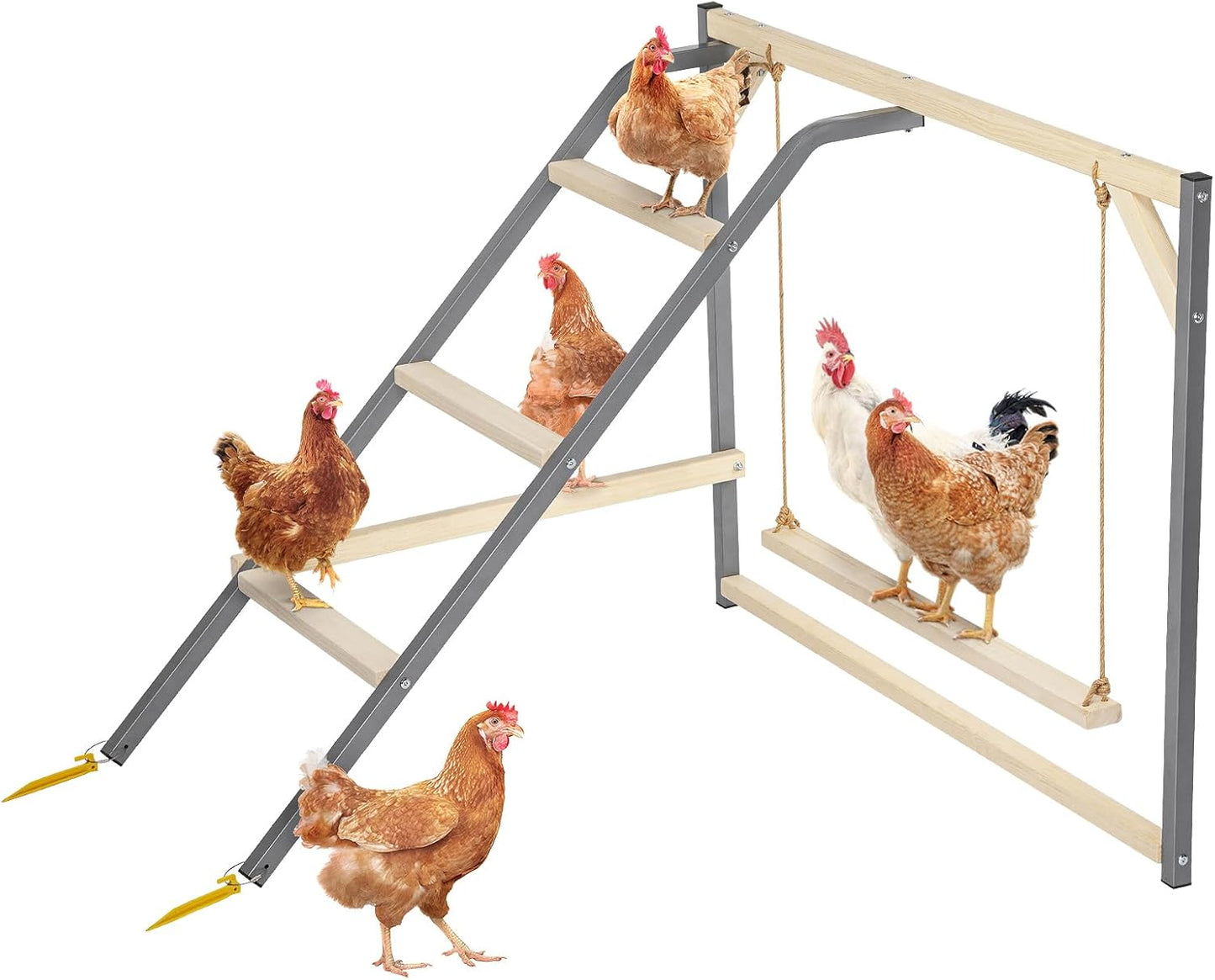 PETSFIT Chicken Perch for Coop-Solid Wood and Rustproof Iron Roosting Bar with Swing - Ideal for Backyard Poultry