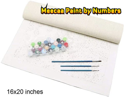 Meecaa Paint by Numbers Poppy Landscape Kit for Adults Beginner DIY Oil Painting 16x20 inch (Poppy Field, No Frame)