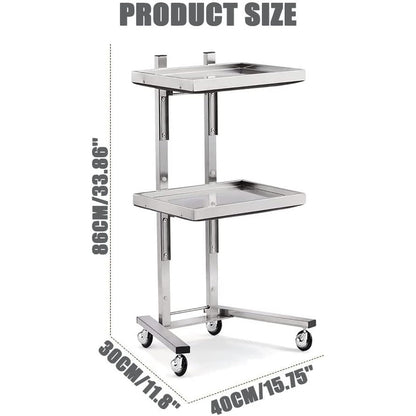 ZGFUSVFD 2-Tier Metal Rolling Cart, Stainless Steel Salon Storage Stand with Wheels Trolley Tray Storage Cart Kitchen Storage Trolley Utility for Bedroom Tattoo Shop, Silver