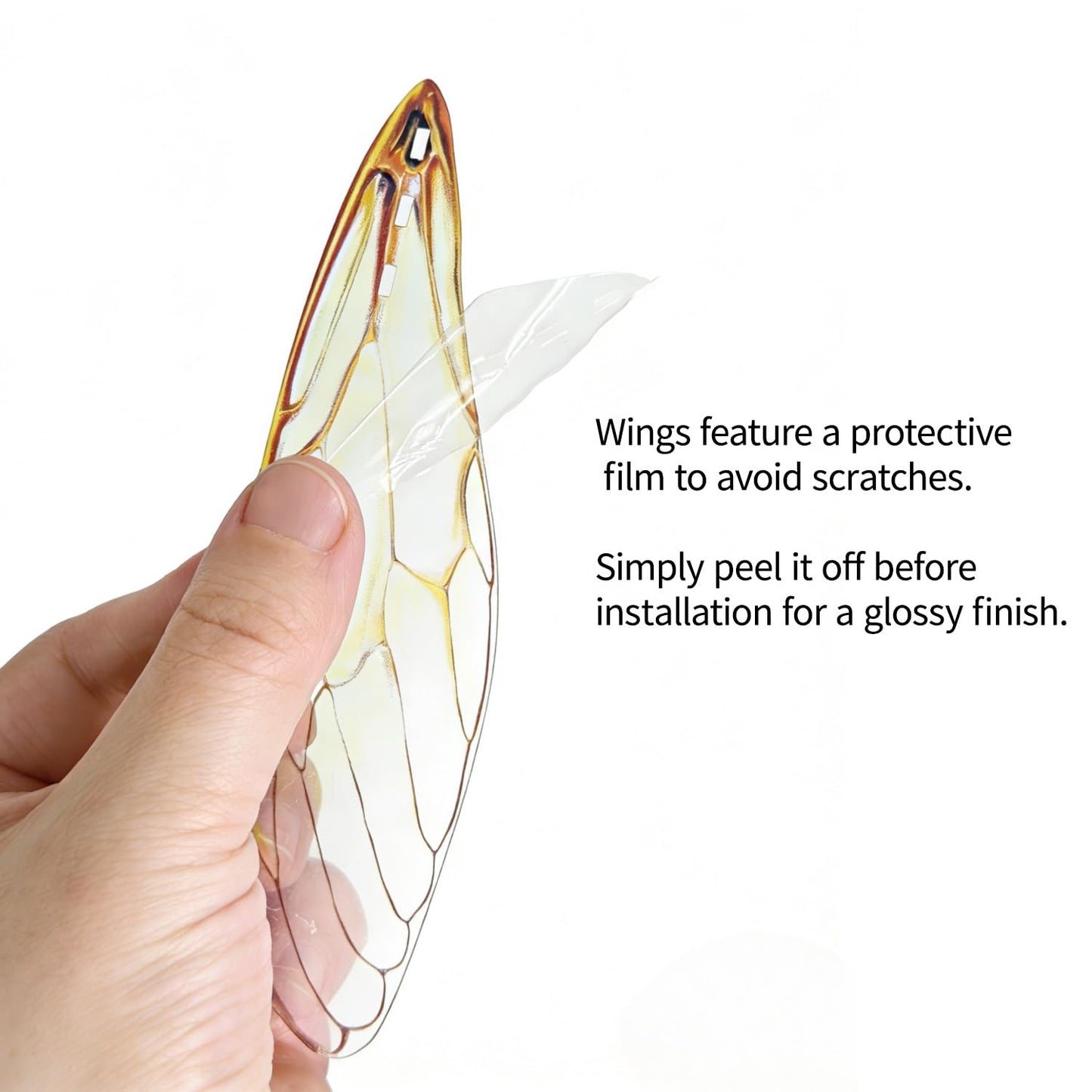 HELLOTOY 3D Acrylic Insects Puzzles DIY Bug Model Kit for Teenagers Educational Display Nature Decoration Figurine Sculpture (Cicada)