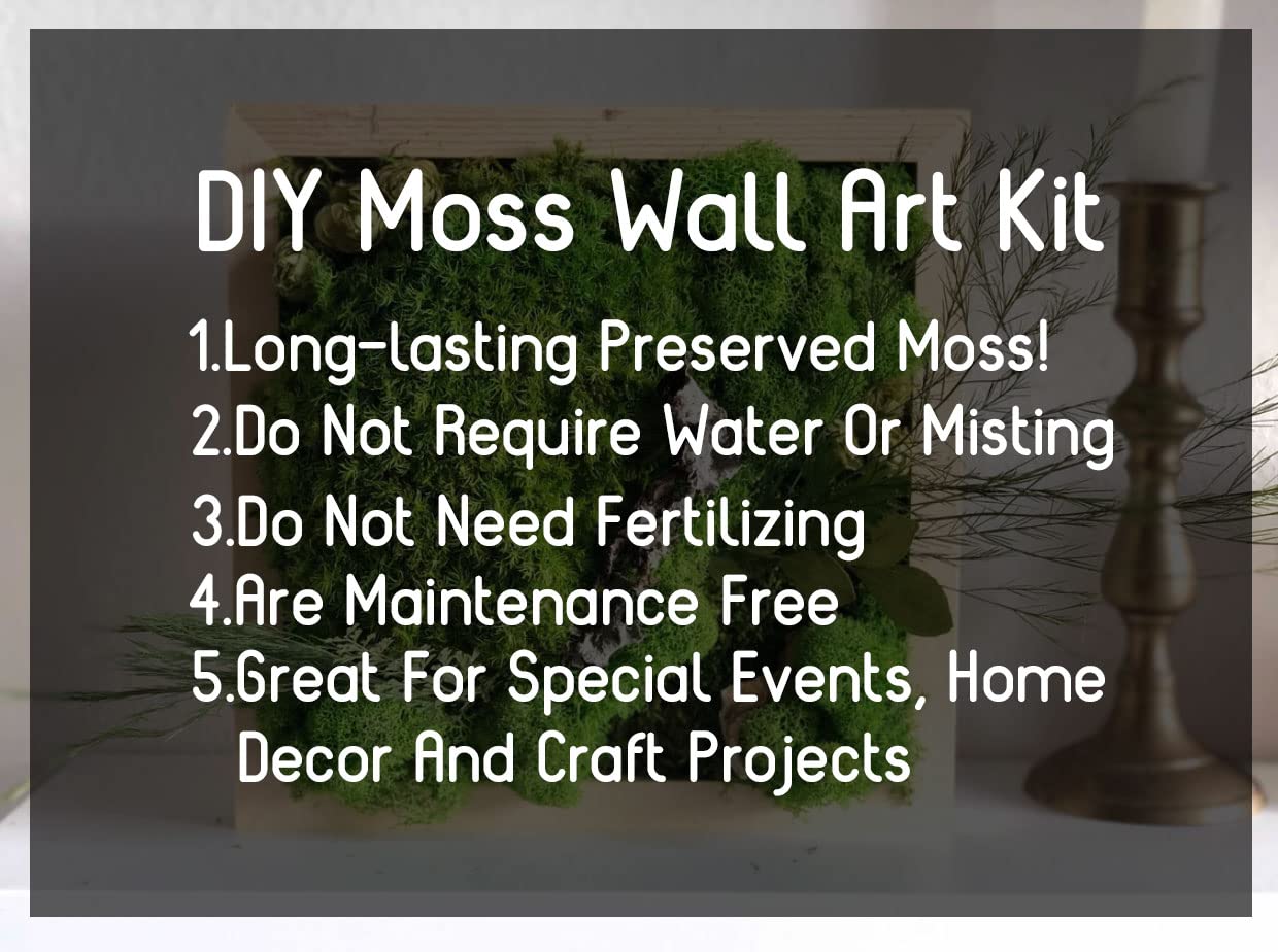 Prefleur Preserved Sheet Moss Natural Green Decorative Real Natural Green DIY Kit Gardenning Art Wall Decor Florist Decor Easter Table Decor Wedding 2 sq.ft.Green-B
