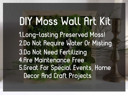 Prefleur Preserved Sheet Moss Natural Green Decorative Real Natural Green DIY Kit Gardenning Art Wall Decor Florist Decor Easter Table Decor Wedding 2 sq.ft.Green-B