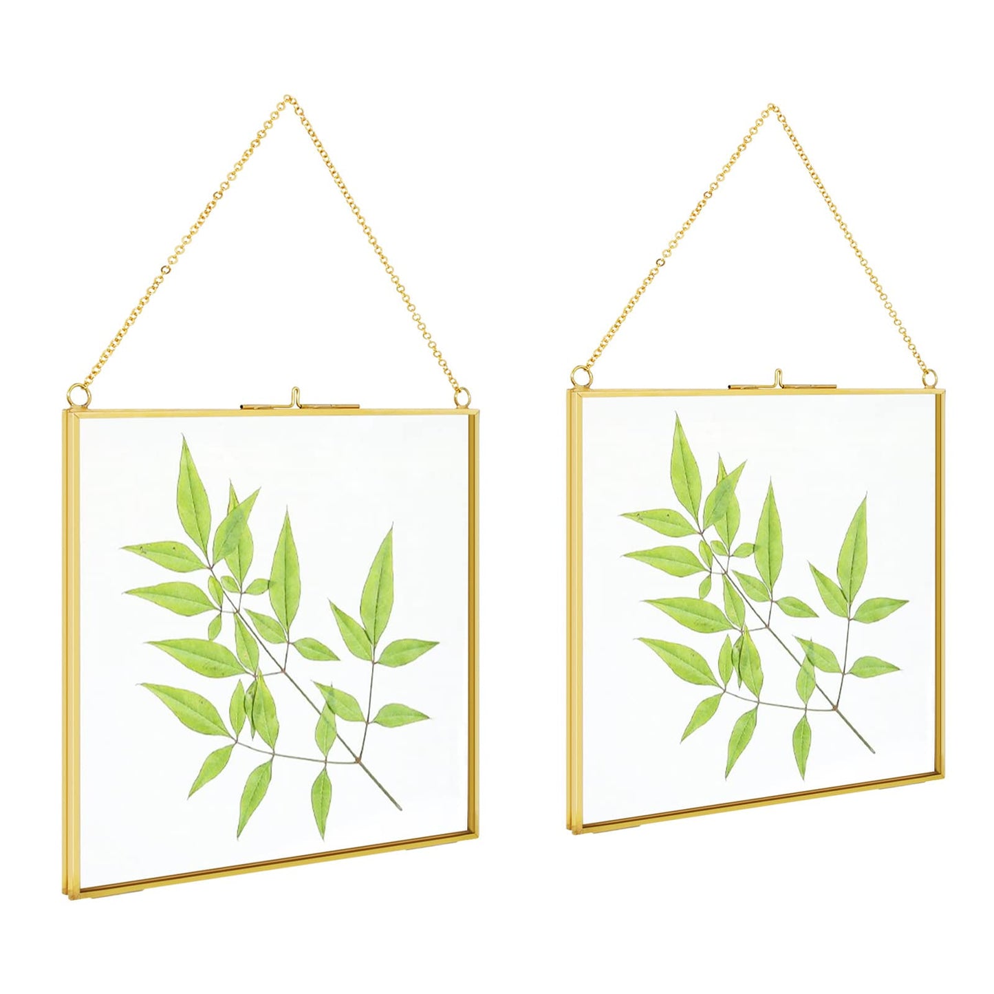 TLBTEK 2 PCS 8x8 inch Brass Hanging Photo Frame,Double Glass Frame for Pressed Flowers,Clear DIY Vintage Artwork Display Frame Wall Mounted Photos Frame