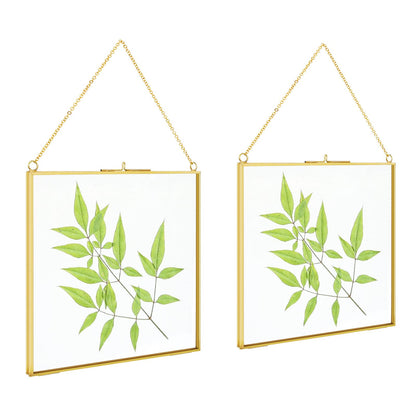 TLBTEK 2 PCS 8x8 inch Brass Hanging Photo Frame,Double Glass Frame for Pressed Flowers,Clear DIY Vintage Artwork Display Frame Wall Mounted Photos Frame