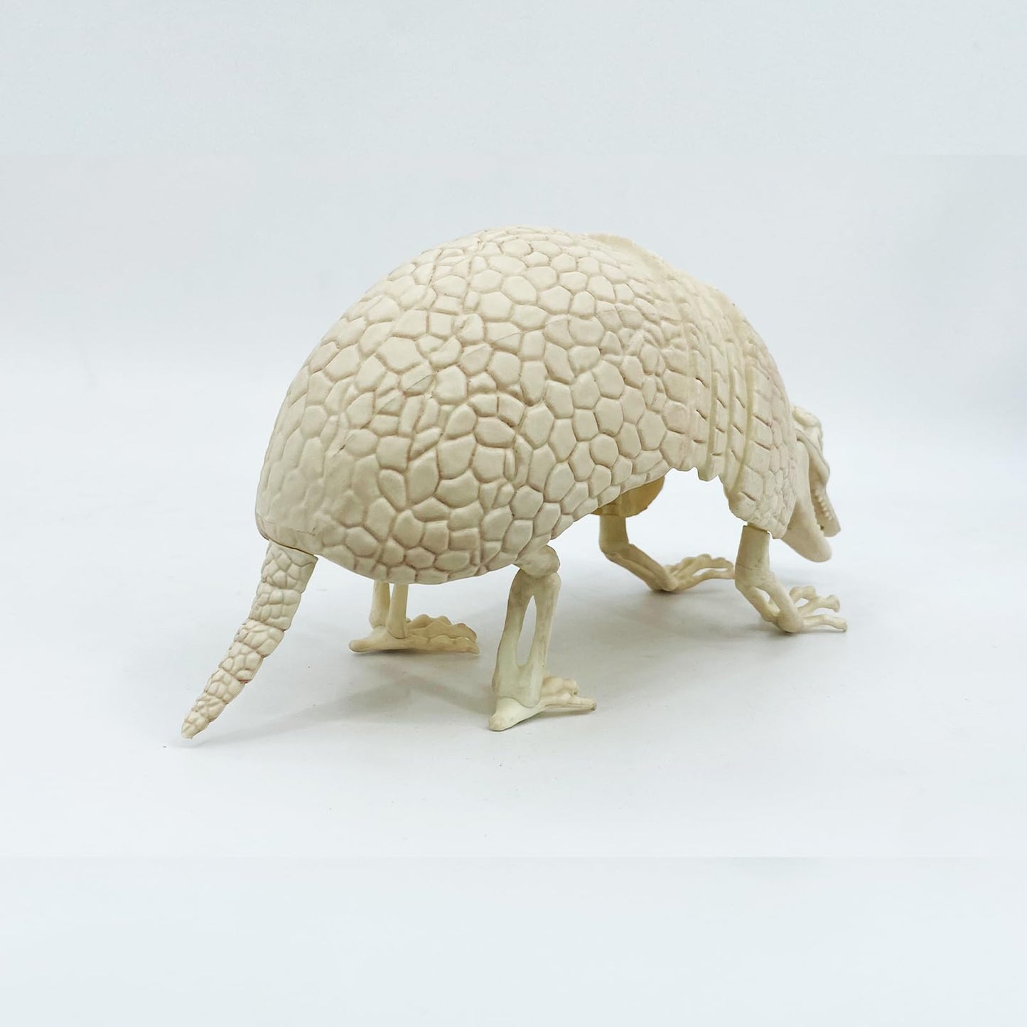 JUST FOR PARTY Armadillo Skeleton Halloween Decorations, 14"x4"x6.25", Rotatable Head and Openable Mouth, Resistant Plastic Armadillo for Fall Graveyard Haunted House Party Indoor and Outdoor Decor
