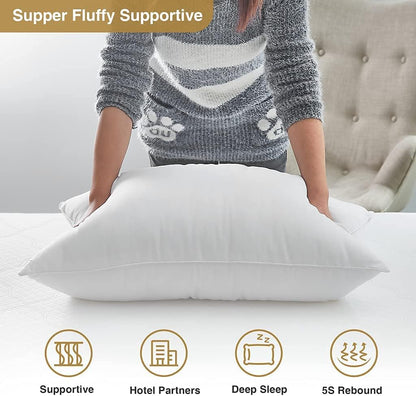 1 Count (Pack 1), Acanva Bed Sleeping Extra-Soft Sham Down Alternative Pillow Insert, of White