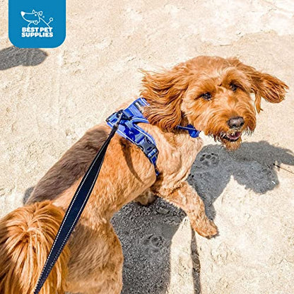 Voyager No Pull Dog Harness for Small Dogs, Dual Leash Attachments, Adjustable Soft but Strong Pet Harness with 3M Reflective Technology, Royal Blue Lattice Nylon, S (Chest: 16-20")