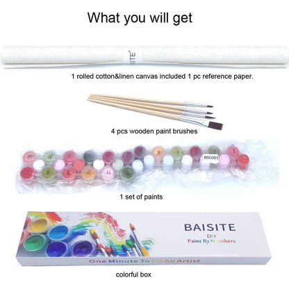BAISITE Paint by Numbers Kit for Adults Beginners,20" Wx16 L Canvas for Painting Kits for Adults in Colorful Box Poppy Flowers-BSC001