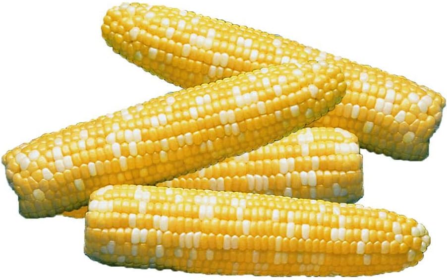 Pack 200 Park Seed Variety of Corn Seeds, Non-GMO Vegetable Seeds for Planting, Easy to Grow, Perfect for Harvesting
