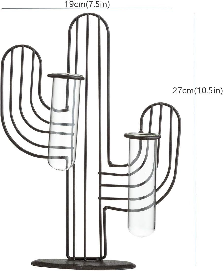 TJ Global Cactus Double Test Tube Vase Planter Holder, Plant Terrarium, Propagation Station, Metal Stand