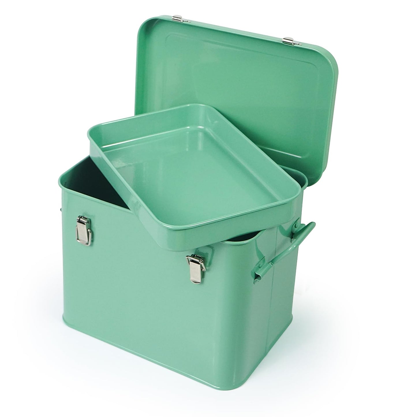 Luwint Seed Storage Organizer, Metal Saving Box Container with Removable Tray, Small Storage Box with Lid for Seeds, Keepsakes, Mini Tools
