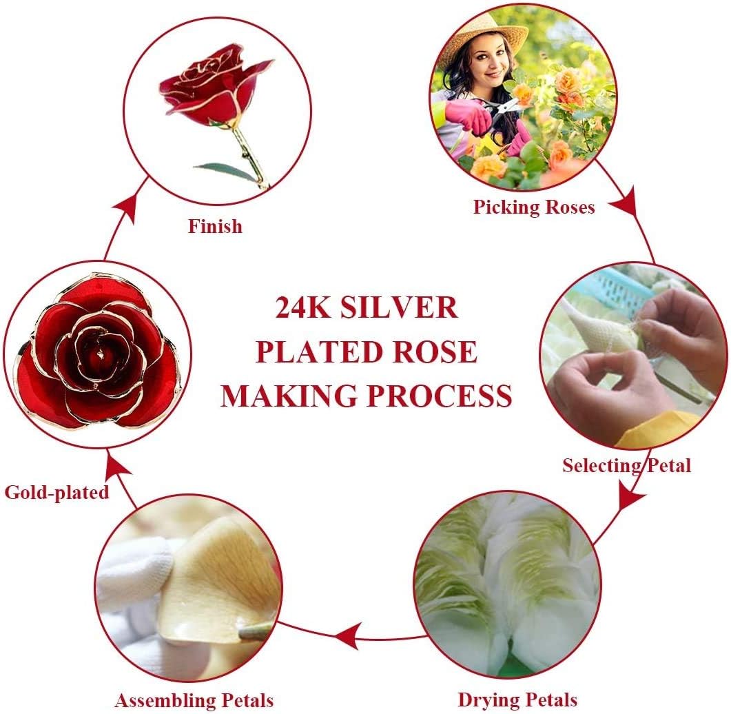 24K Red Rose Christmas Gift, Eternal Love Real Gold Plated Rose Flower, Romantic Present for Wife, Mom, Grandma,