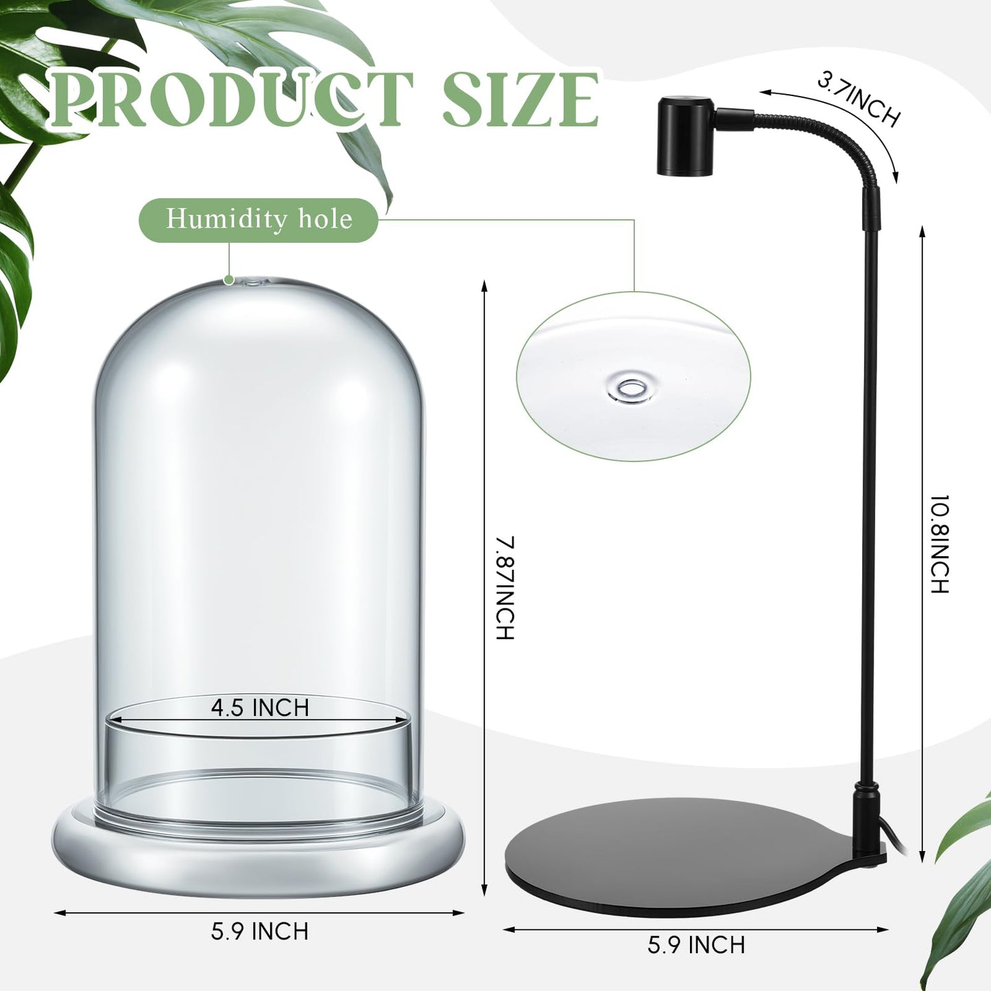 Maxdot Plant Terrarium Kit with Grow Light, 4.8'' x 7.87'' Glass Dome Terrarium with Air Hole and Base, Succulent Air Planter Fern Moss Micro Landscape Vase for Home Office Tabletop Decoration