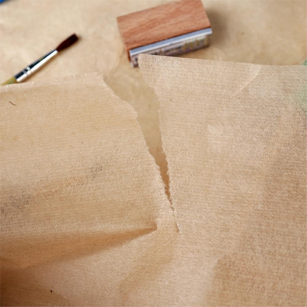 100 Sheets Natural Gampi Bark Rice Paper, 13.8x16.5”, Ultra-Thin, Strong & Translucent Cicada Wing Traditional Handmade Xuan Paper for Fine Art Painting, Botanical Rubbing and Calligraphy