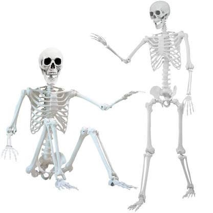 5.4 ft Halloween Skeleton Poseable Skeleton Life Size Skeleton Full Body Plastic Human Bones Standing Human Skeleton with Posable Joints for Halloween Decoration（1PCS