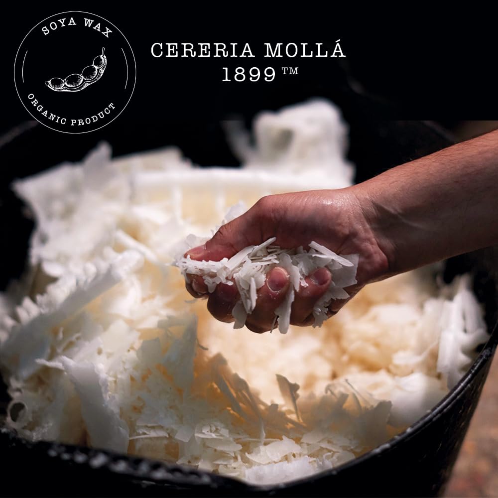 CERERA MOLLA 1899 | Mini Moroccan Cedar Candle | 1 Wick Aromatic | 20 Hours Burn Time | Natural Fragrances | Recyclable Packaging | Artisan