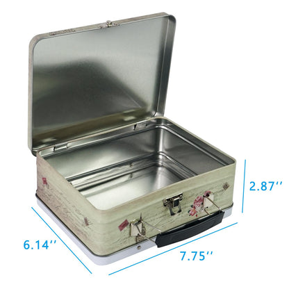 DreamsEden Luwint Tin Storage Boxes with Handle Small Metal Fun Box Cute Sturdy Tin Box Decorative Keepsake Case with Lid, Set of 2