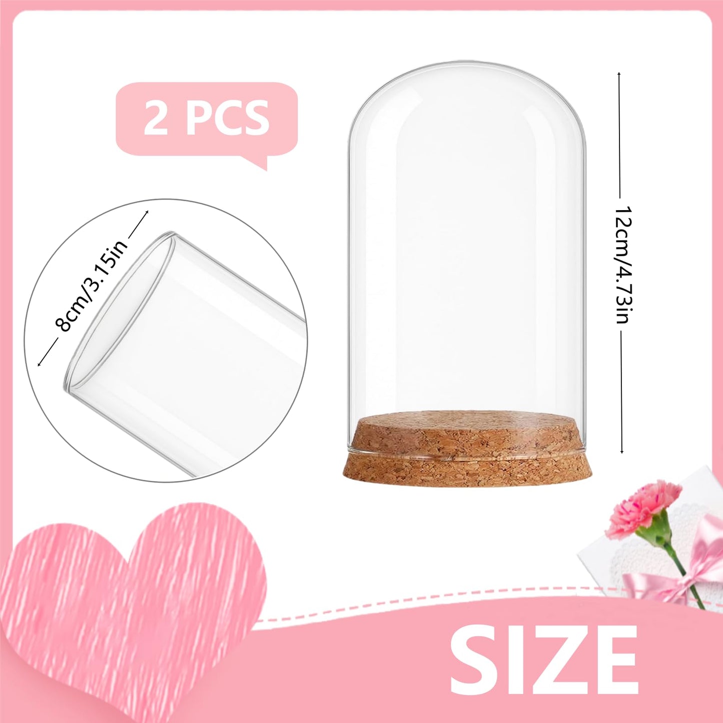 SWJLR 2 PCS Glass Dome Bell Jar, Clear Display Dome with Cork Base for Miniature Figurines, Fake Plants, Collectibles, Specimens, DIY Landscape (3.15x4.73 Inch)