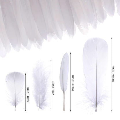 MWOOT 4 Styles Assorted Crafts Feathers (White)