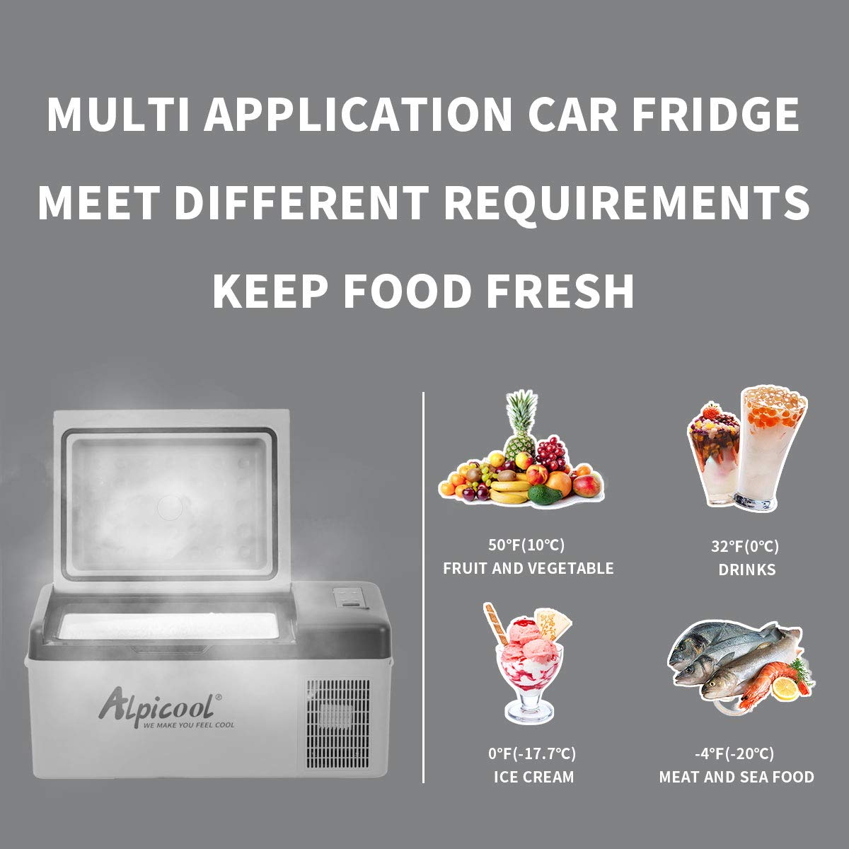 Alpicool C20 portable compressor fridge freezer 21Quart(20Liter) for car and home - 12V/24V DC and 110V AC
