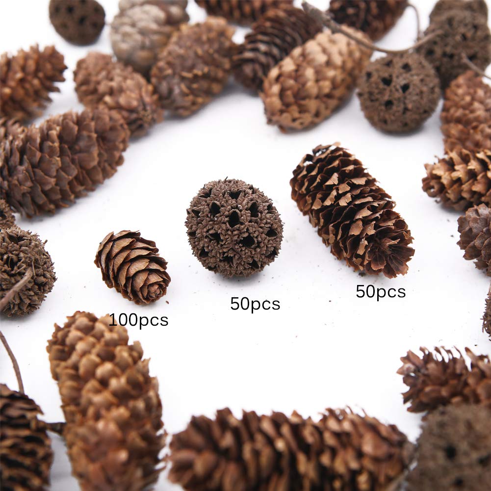 Apol Total 200 Pcs Natural Mini Pinecones Maple Fruit Ornament Set for Vase Fillers Photo Props DIY Home House Christmas Decoration Craft