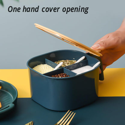 Seasoning Box with Lid, 4 Compartments Spice Rack with Handle and Spoons for Home Kitchen
