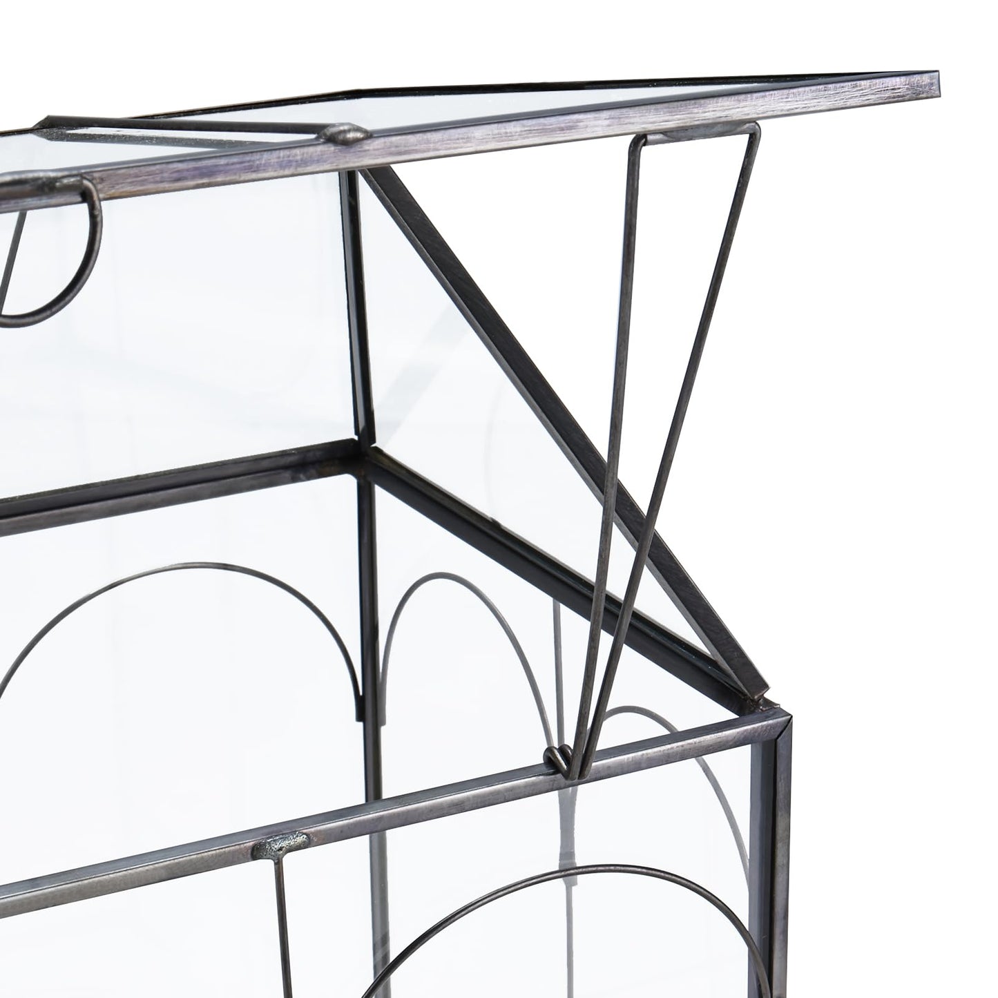 HighFree Glass Terrarium with Metal Tray, Glass Greenhouse Terrarium Kit for Succulents, Cacti, Snails, Spiders, and Miniature Reptiles, Black (Large-9.45" L x 5.7" W x 11.8" H)