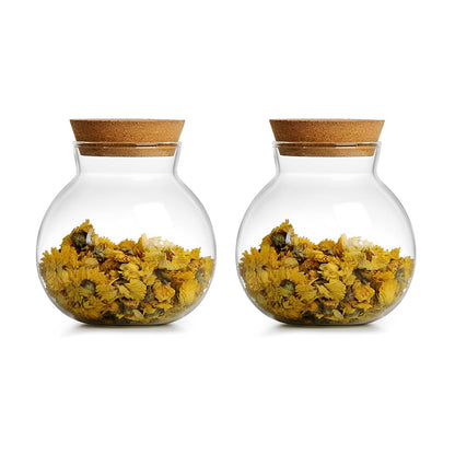 DNIENKGE 17oz Spherical Glass Jar with Cork Lid Airtight - Kitchen Glass Jar for Preserving and Storing candy, tea, Coffee, Spice, flour, Beans etc (2)