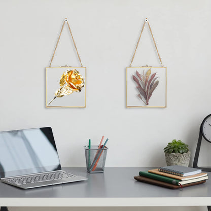 JUXYES 2 Pack Wall Hanging Brass Frame for Pressed Flowers, Glass Floating Frames for Display Dried Flowers Artwork, Double Glass Floating Style Square Gallery Wall Frame for Plants Photo Picture Poster etc