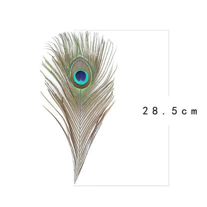 60 PCS Real Natural Peacock Eye Feathers 10-12 inch for DIY Craft, Wedding and Holiday Decorations